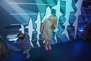 Janie and Margy Measure Themselves