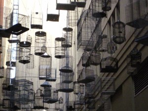 All sorts of different bird cages.